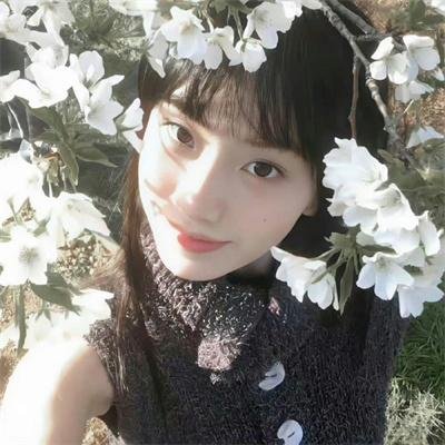 熊的乔纳森